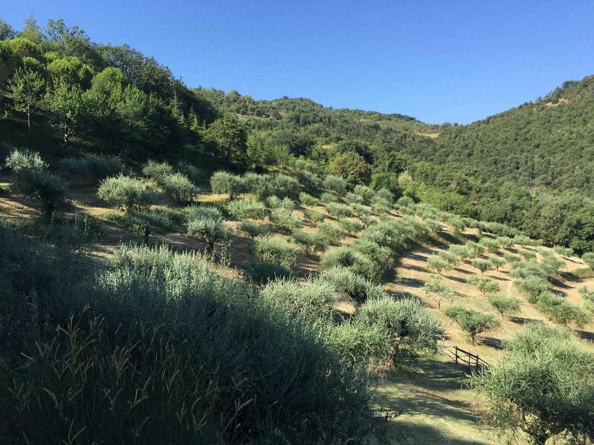 Agriturismo La Fonte Perugia Kültér fotó